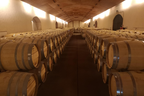 Tour de vinhos com 7 degustações + transporte particular + Lapis Lazuli