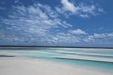 Zanzibar: Jozani Forest, Kuza Cave, Paje Beach & The Rock Private tour with trasfer and entry fees included