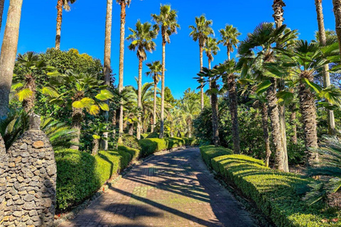 Jeju East Coast Photo Friendly Private Tour for Cruise Guest Jeju International Port