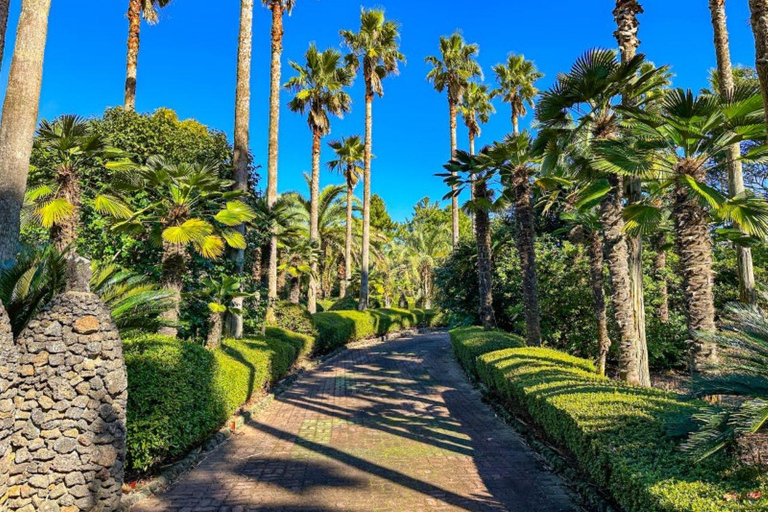 Jeju East Coast Photo Friendly Private Tour for Cruise Guest Jeju International Port