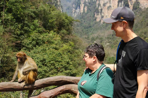Private Tour Guide Service with Commentary in Zhangjiajie Private Guide (Spanish) – Per Day