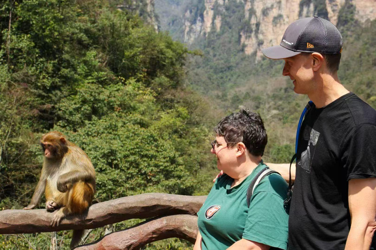 Private Tour Guide Service with Commentary in Zhangjiajie Private Guide (Spanish) – Per Day