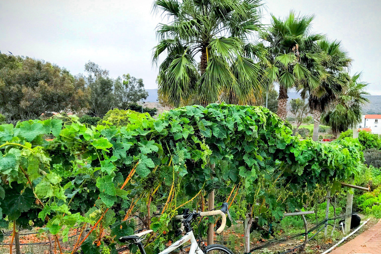 Bike and wine tasting across the Guadalupe Valley Biking and wine tasting across the Guadalupe Valley