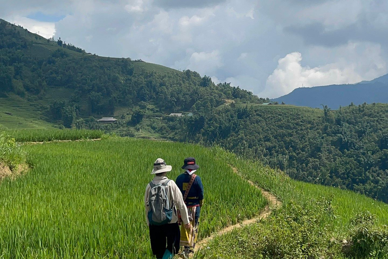 Randonnée dans le village de Red Dao et bain aux herbes