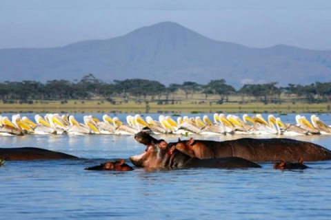 Nairobi: Hell’s Gate Park & Lake Naivasha Day Trip Hell’s Gate Park & Lake Naivasha private Day Trip