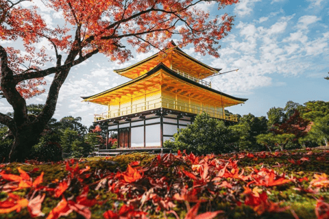 Kyoto: Nara Early-Access Private Tour with Guide & Car