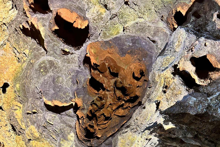 From Albir, Benidorm & Calpe: Jalon & Caves of Skulls Tour From Calpe with Meeting Point at Suitopia