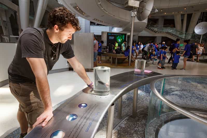 New York City Ticket für American Museum of Natural History GetYourGuide