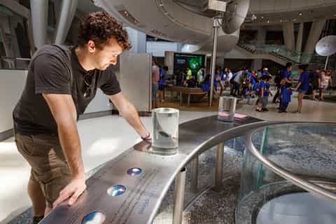 New York City: American Museum of Natural History Ticket