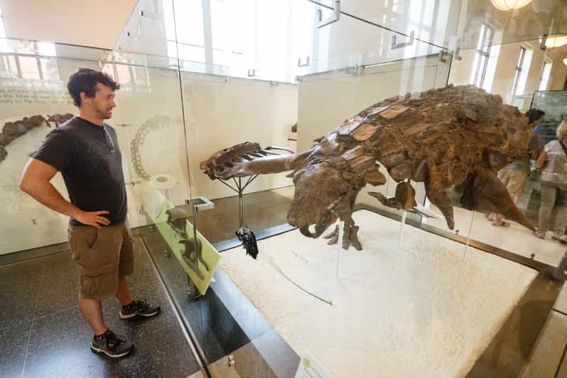 New York City American Museum of Natural History Ticket GetYourGuide