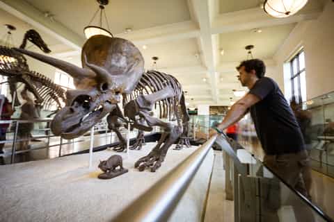 New York City: American Museum of Natural History Ticket