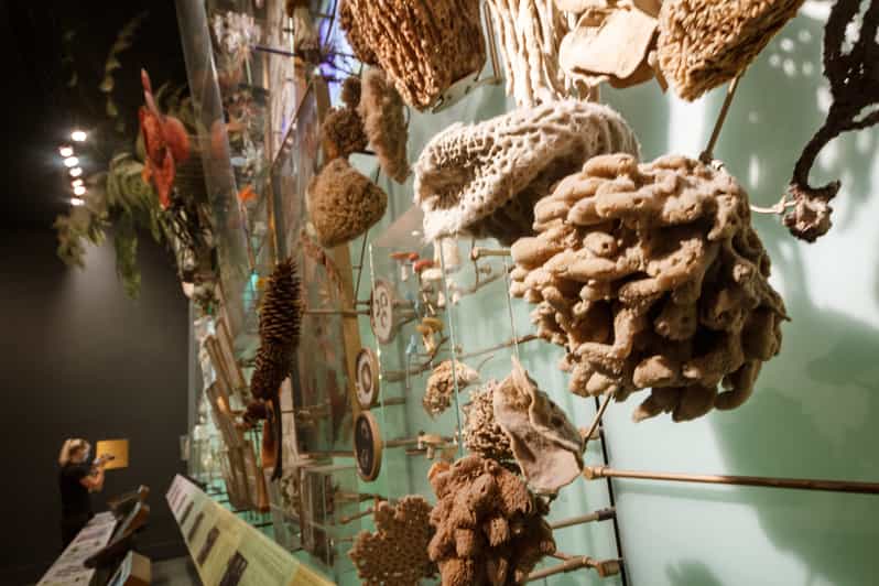 New York City Ticket für American Museum of Natural History GetYourGuide