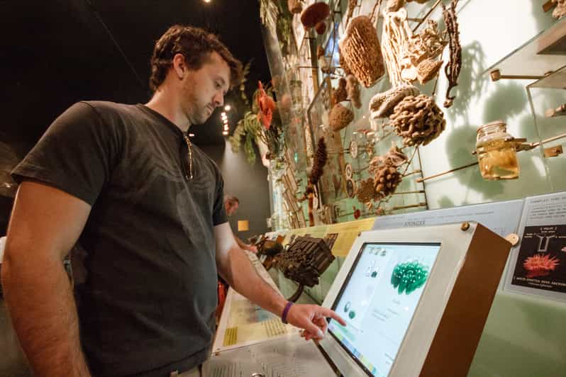 New York City Ticket für American Museum of Natural History GetYourGuide