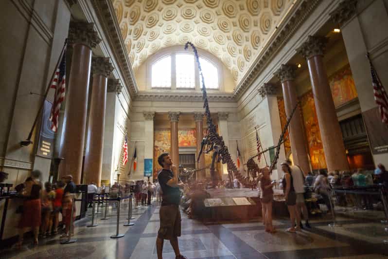 New York City American Museum of Natural History Ticket GetYourGuide
