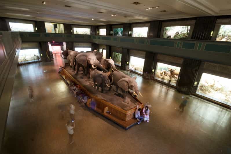 НьюЙорк билет в Американский музей естественной истории GetYourGuide