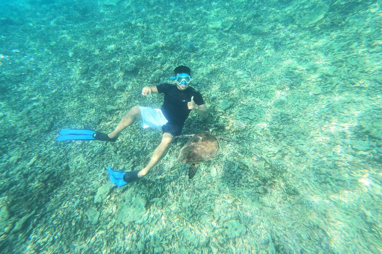 Omán: Excursión de snorkel a la isla de Daymaniyat con equipo incluido.Omán: Excursión de snorkel a la isla de Daymaniyat con equipo incluido