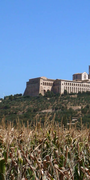 Assisi Walking Tour With St Francis Basilica Visit GetYourGuide