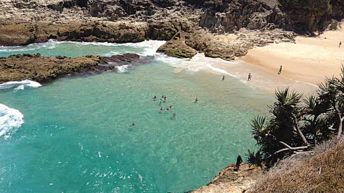 from brisbane stradbroke island day tour