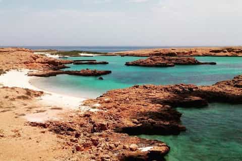 Muscat: Snorkeling Cruise to Daymaniat Islands Reserve
