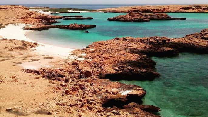 muscat snorkeling cruise to daymaniat islands reserve