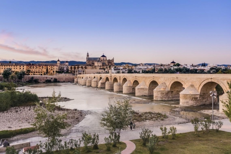 Córdoba: Prywatna wycieczka z lunchem