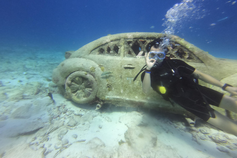Cancun: 2-Tank Dive for Beginners with MUSA and Reef Dive