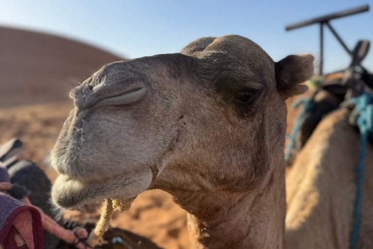 Marrakech: 3-Day Merzouga Desert Tour with Luxury Camp Private Tour – Your Group Only