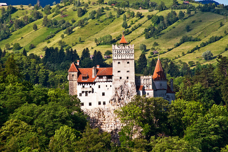 Bukareszt: Transylwania z zamkiem Dracula i sanktuarium niedźwiedzi