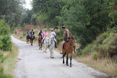 Bodrum: Horse Riding Experience with Forest or Seaside Route Seaside Horse Riding Tour (2 Hours – Beach Route)