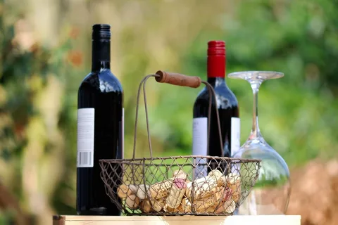 Trieste: Cividale Del Friuli and Wine Tastings