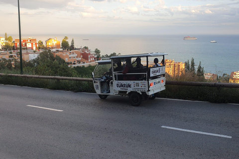 Port of Málaga: Electric Tuk-Tuk Tours from the Cruise Ship Terminal Exclusive tours for cruise passengers, departing directly from the cruise ship terminal