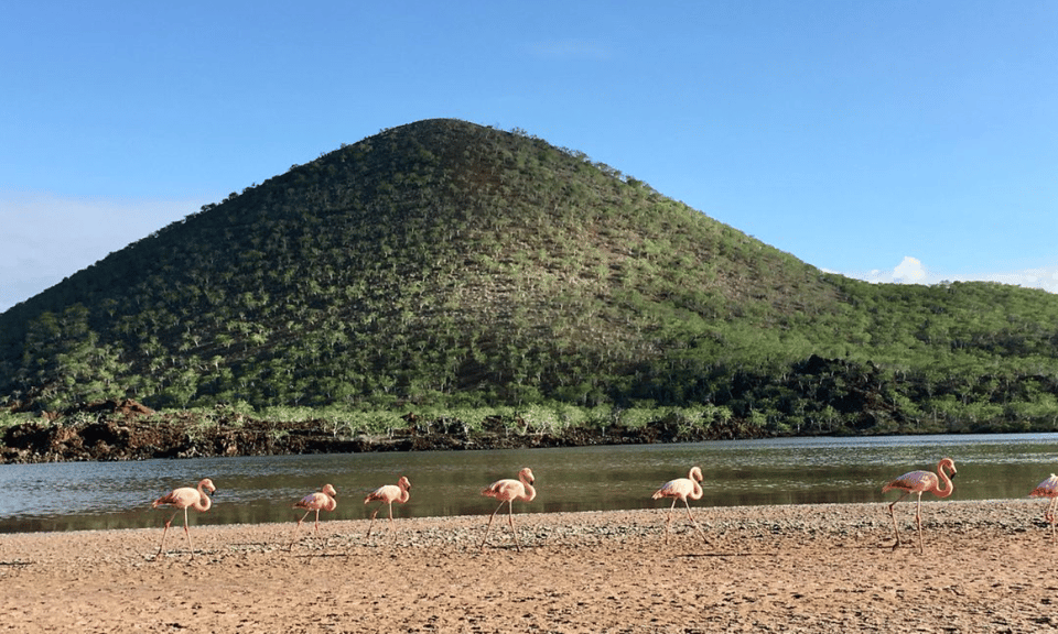 Full-Day Tour to Floreana Island & Cave of Pirates | GetYourGuide