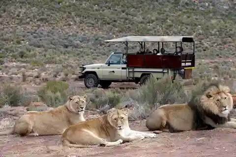 4-Day Private Highlights Tour & Overnight Big5 Aquila Safari