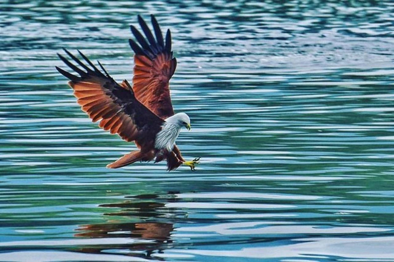 Langkawi: Natural Beauty Private Island Tour