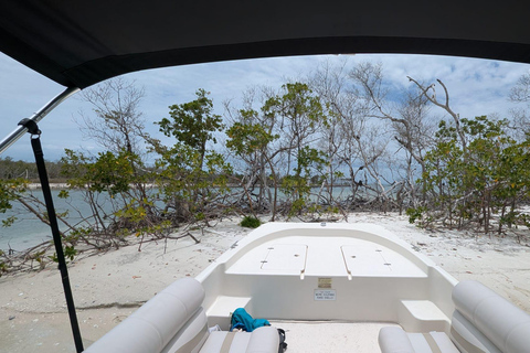 Marco Island: Dolphin, Shelling, Beach & Ten Thousand Island 4 Hour Option