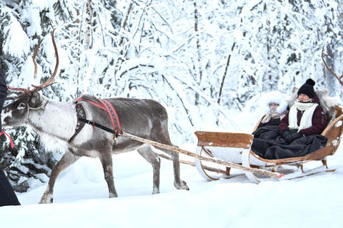 Levi: Reindeer Sleigh Ride 600m in Enchanting Forest