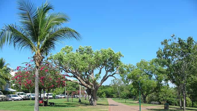 darwin selfguided audio tour