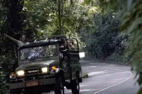 Rio de Janeiro: Jeep Tour in the Tijuca Forest