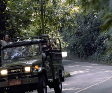 Rio de Janeiro: Jeep Tour in the Tijuca Forest