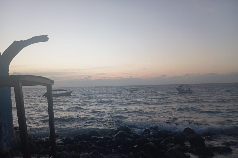 Cartagena: Conoce la isla de punta arena con CERVEZA Cartagena: Conoce la isla de punta arena con cerveza