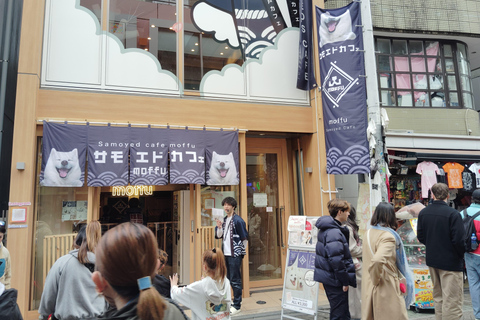 Tokyo : Visite guidée de la rue Takeshita de Harajuku avec des sucreries