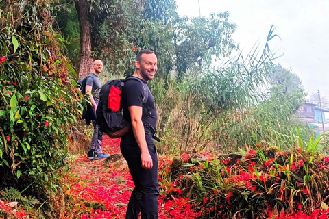 Sandakphu Singalila Ridge Trek - 6 dni