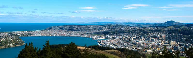 Dunedin Self-Guided Audio Tour | GetYourGuide