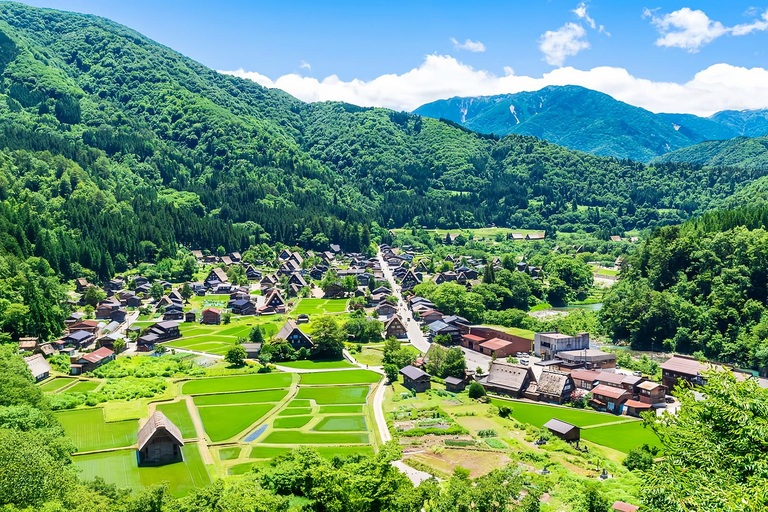 Nagoya:Shirakawa-go Gassho Village&Takayama Old Town Tour