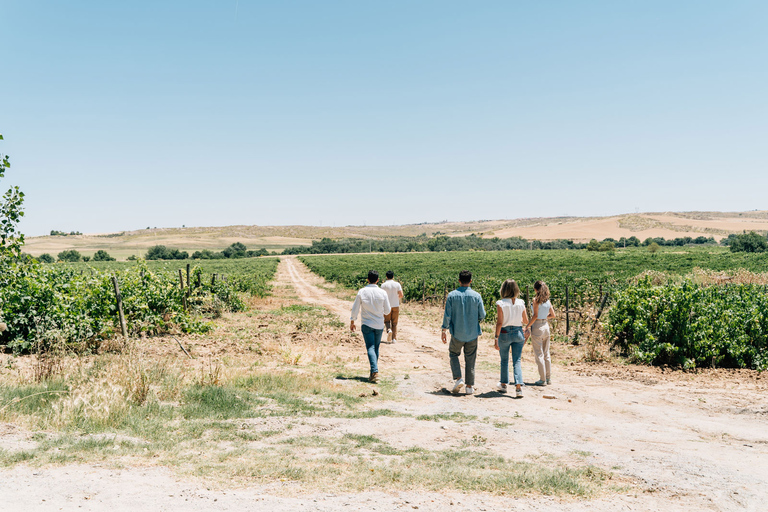 Ab Madrid: Traditionelle Dörfer, Weinkeller Tour &amp; Tapas MittagessenTour auf Spanisch