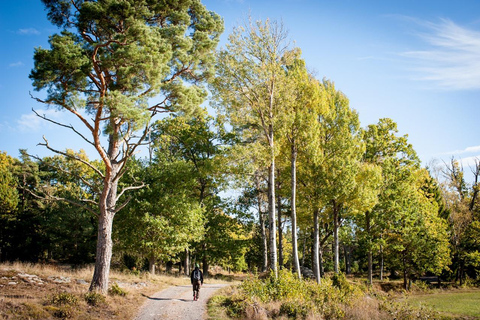 Stockholm Archipelago Hike with Boat Ride, Beach & Fika