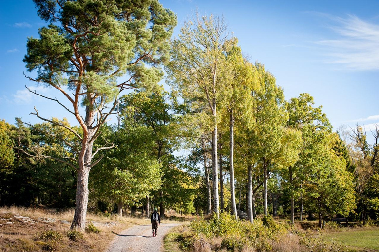 Stockholm Archipelago Hike with Boat Ride, Beach & Fika