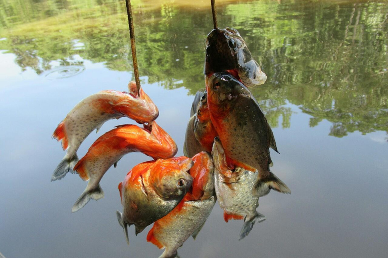 1D Abenteuer in Pacaya Samiria: Piranha-Fischen