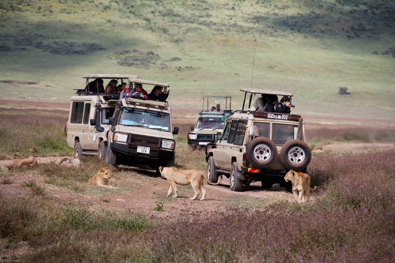 Tanzania: 7-Day Serengeti Family Safari 