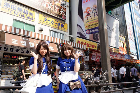 Tokio: Akihabara 2 horas Visita guiada a pieTokio: tour guiado a pie de 2 horas por Akihabara